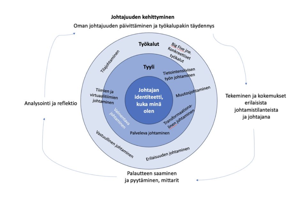Kaavio johtajuuden kehittymisen mallista: identiteetti, tyyli ja työkalut